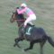 【競馬】キズナ種牡馬成功！！！！！、