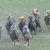 【競馬】結果的に京成杯のレベルが高かったってことでええんか？