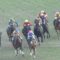 【競馬】結果的に京成杯のレベルが高かったってことでええんか？