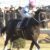 【競馬】チュウワウィザード戸崎でサウジカップ挑戦正式決定