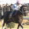 【競馬】チュウワウィザード戸崎でサウジカップ挑戦正式決定