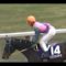 【競馬】フェブラリーステークス　1番人気キングヘイローwwwwww