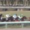 【競馬】京都10R クビ・クビ・クビ・アタマ・ハナ・クビ・クビ・クビ・クビ