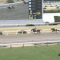 【競馬】[動画あり] トラスト1着の熊沢重文騎手、追い動作を故意に緩めたため油断騎乗で2日間騎乗停止