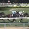 【競馬】ヴァーダイト馬券圏内もないとかマジ？？？？