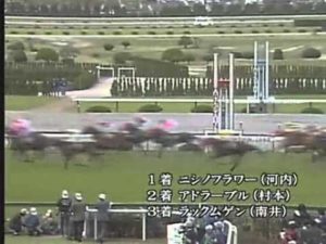 【競馬】名牝ニシノフラワー死す