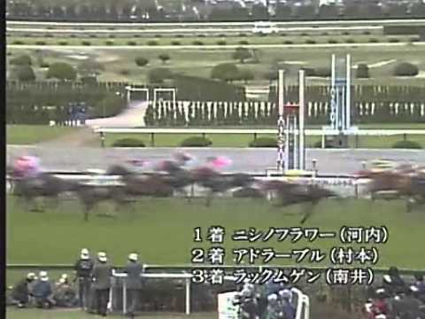 【競馬】名牝ニシノフラワー死す