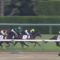 【競馬】アルジャンナに危険信号…？ストーンリッジ超抜調教！エポカドーロにブッチギリ先着ｗｗｗｗ