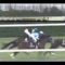 【競馬】最強馬クラスの馬ってデビュー二戦目でその片鱗を見せるよな