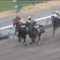 【競馬】セラン、武豊騎手騎乗でＵＡＥオークス出走【発走日本時間２１日０時４０分】