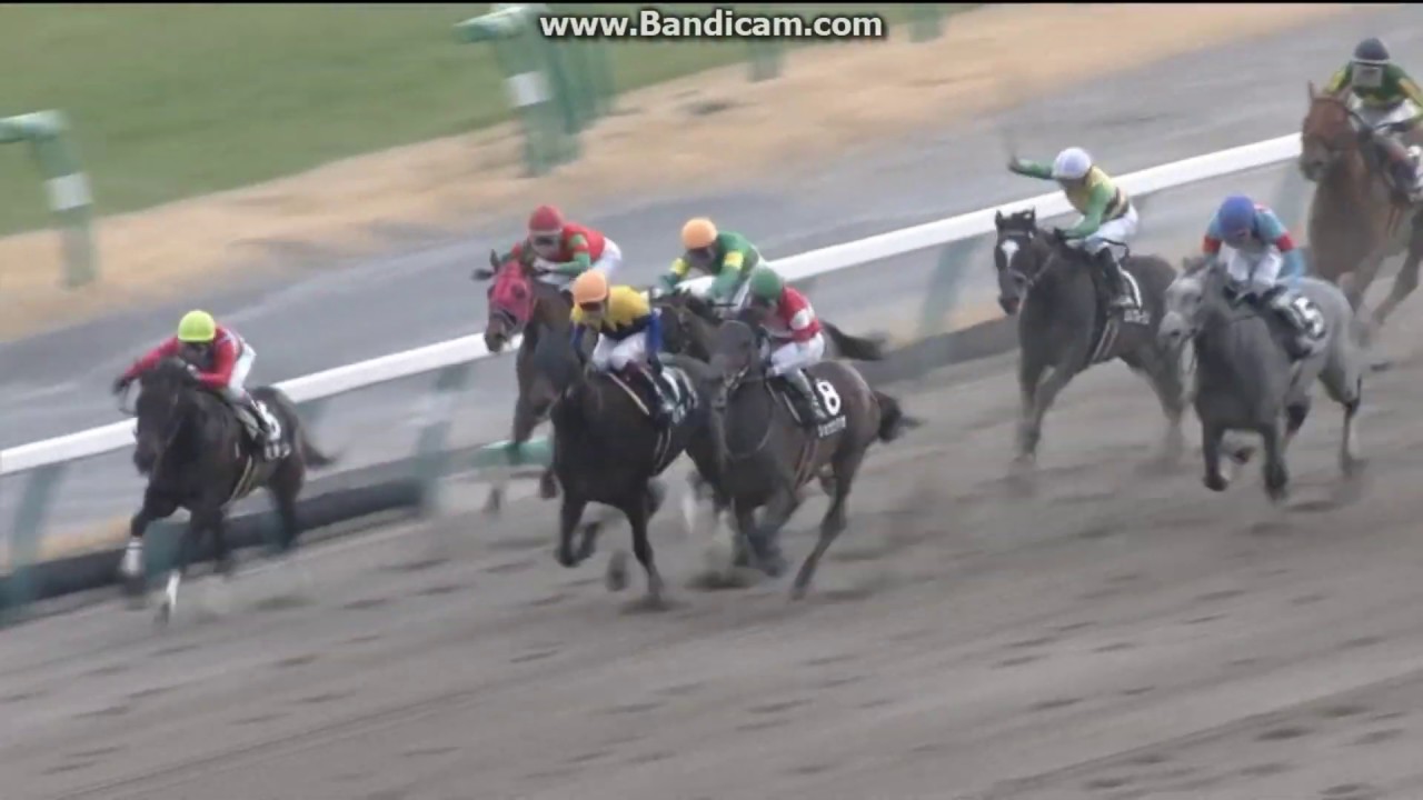 【競馬】セラン、武豊騎手騎乗でＵＡＥオークス出走【発走日本時間２１日０時４０分】