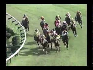 【競馬】三冠馬ナリタブライアンの全弟ビワタケヒデ死亡　25歳