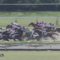 【競馬】ダートの怪物 ミティル（武豊） 爆誕