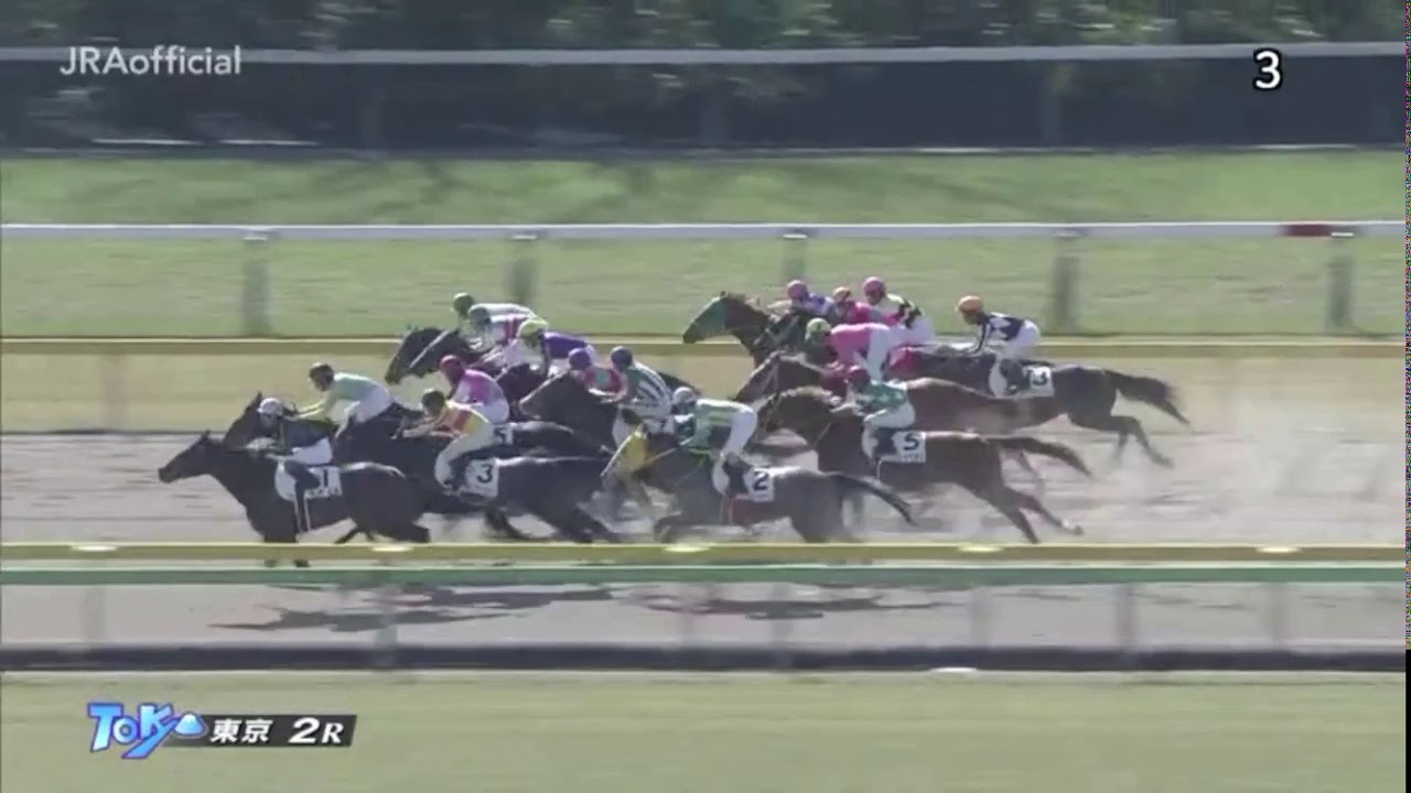 【競馬】ダートの怪物 ミティル（武豊） 爆誕