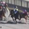 【競馬】カフェファラオ　ケンタッキーダービーへ