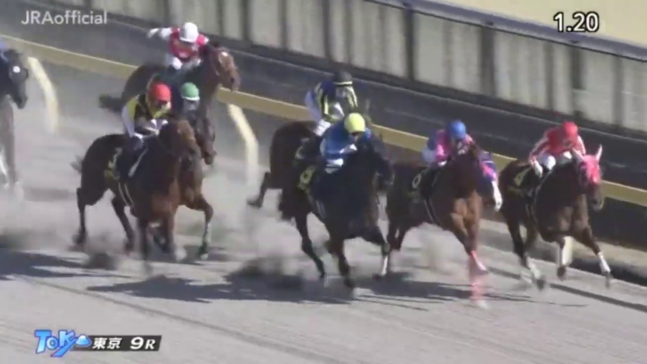 【競馬】さすがに今のレーンでも水曜日のJDDに出走するカフェファラオはとばさないよな･･･？