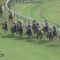 【競馬・クイーンC】アカノニジュウイチの名前の由来→「赤の21」