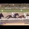 【競馬・京都牝馬S】四位洋文のラスト重賞で忖度が起きる可能性