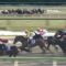 【競馬・フェブラリーS】なんとまさかのコパノリッキー！！から６年