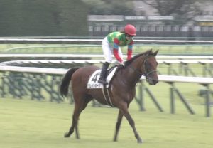 【競馬・マーメイドS】ナルハヤ藤田菜七子ｗｗｗｗｗｗｗｗｗｗｗｗｗｗｗ