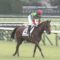 【競馬・マーメイドS】ナルハヤ藤田菜七子ｗｗｗｗｗｗｗｗｗｗｗｗｗｗｗ