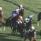 【競馬】アイスストーム武豊、前が壁ｗｗｗｗｗ