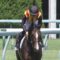【競馬】何故か今年絶好調の大野がサウンドトゥルーから降ろされてる訳だが