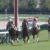 【競馬】サドラーズウェルズの3×2