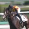 【競馬】アルジャンナは川田騎手から乗り替わりでヒューイットソン騎手との新コンビで毎日杯へ