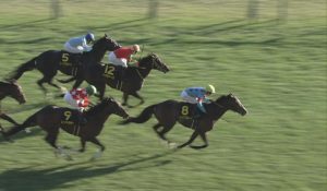 【競馬】マジでマーフィーが天才すぎる件