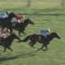 【競馬】マジでマーフィーが天才すぎる件