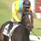 【競馬】ウオッカってやっぱり凄かったんだな
