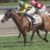 【競馬】1月20日付けでカフェリュウジンが中央登録抹消により中央競馬から11歳馬がいなくなる