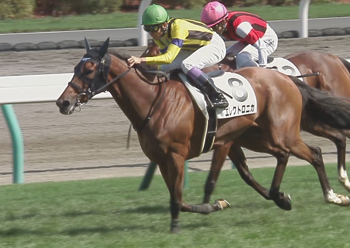 【競馬/安田記念】グレーターロンドンていきなりGⅠで通用するの？