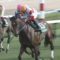 【競馬】47勝川田、36勝ルメール、33勝武豊、21勝松山、20勝福永