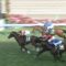 【競馬・オーシャンS】前哨戦のダノン祭りｗｗｗｗｗｗｗｗｗｗｗｗｗｗｗｗ