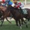 【競馬】ダノンスマッシュは三浦皇成とのコンビで高松宮記念へ