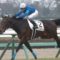 【競馬】ゴドルフィンの勢いが止まらない件