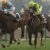 【競馬・NHKマイルC】サトノインプレッサは坂井で良かったんじゃねーの？未来のスター騎手乗せるべきだったろ