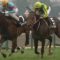 【競馬・NHKマイルC】サトノインプレッサは坂井で良かったんじゃねーの？未来のスター騎手乗せるべきだったろ