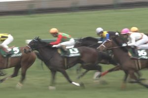 【競馬・阪神牝馬S】シゲルピンクダイヤ最下位 【競馬・阪神牝馬S】シゲルピンクダイヤ最下位