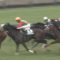 【競馬・京都牝馬S】シゲルピンクダイヤ和田さん大外ぶんまわしｗｗｗｗｗｗｗｗｗｗ