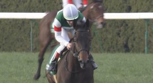 【競馬】３歳重賞1枠1番 8戦6勝（2着1回）