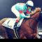 【競馬・フローラS】朗報！スカイグルーヴ、やはり前走は一頭になって気を抜いていた模様