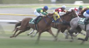 【競馬】タガノディアマンテの不安要素って何？20ぶっこむわ
