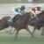 【競馬・京10河原町S】スマートアルタイル武豊ｗｗｗｗｗｗｗｗｗｗｗｗｗｗｗ