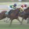 【競馬・ダイヤモンドS】レース中だが立てる！1番人気で川田ふざけんな！！！！！！！！！！！！！