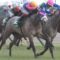 【競馬】今年のダイヤモンドSを制したミライヘノツバサが右前浅屈腱炎、全治9ヶ月以上