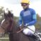 【競馬】武豊騎手今週の騎乗馬