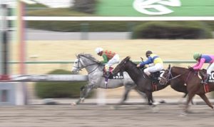 【競馬】牛若丸ジャンプS 単1.3倍トラストの熊沢騎手、セーフティリードに余裕こきすぎてゴール直前であわや差されそうになる